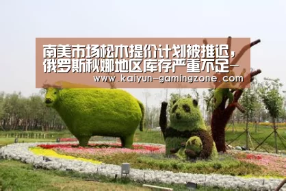 南美市场松木提价计划被推迟,俄罗斯秋娜地区库存严重不足-开云体育(图1) 开云体育