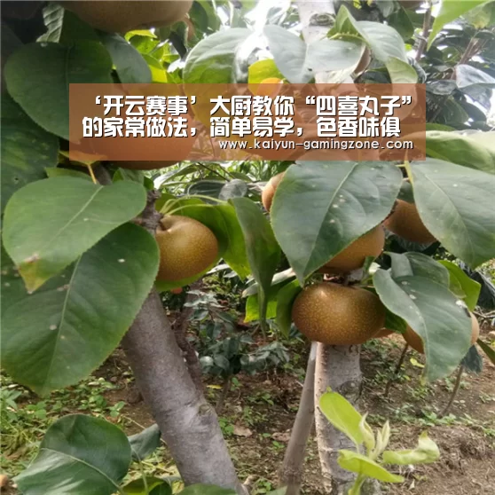 ‘开云赛事’大厨教你“四喜丸子”的家常做法,简单易学,色香味俱全,超下饭(图1) 开云足球