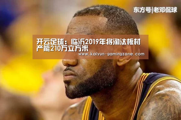 开云足球:临沂2019年将淘汰板材产能210万立方米(图3) 开云足球