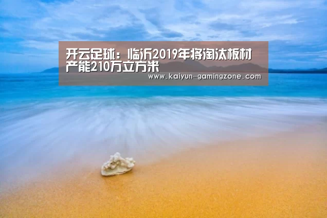 开云足球:临沂2019年将淘汰板材产能210万立方米(图2) 开云体育